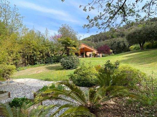 DJI_20240405_152706_484