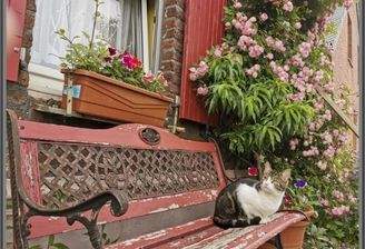 ein Platz in der Sonne