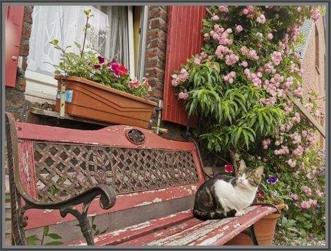 Wegberg Renditeobjekte, Mehrfamilienhäuser, Geschäftshäuser, Kapitalanlage