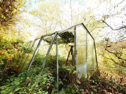  Das GEWÄCHSHAUS (Glasbruch nach Baumfall)