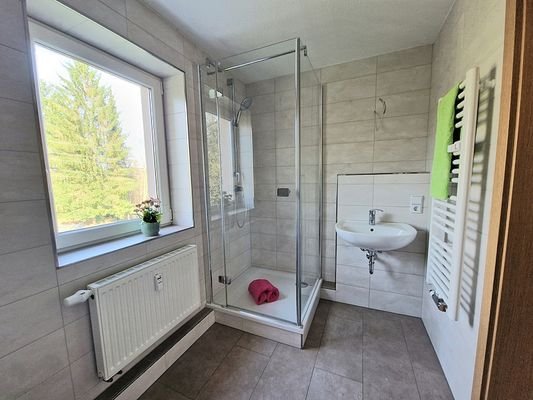 modernes Bad mit Dusche und Fenster