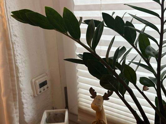 elektr. Rollläden moderne Fenster