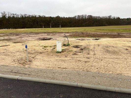 Gr. 24 rechte Seite.jpg