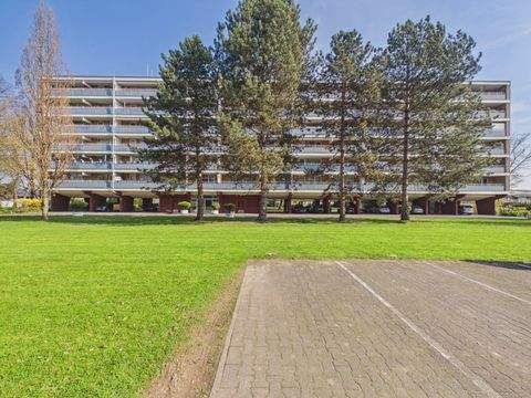 Bonn Wohnungen, Bonn Wohnung kaufen
