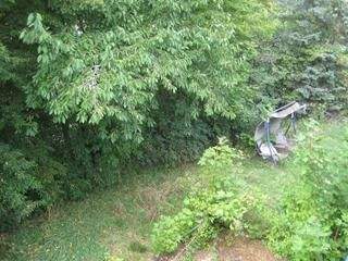 IMG_5443 - Kopie.JPG