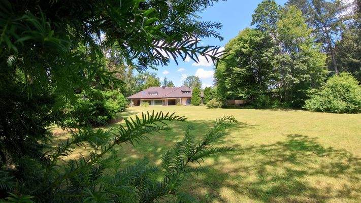 Blick auf Altbestand