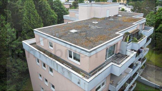 dji_fly_20250715_105210_485_1752569571849_photo_optimized