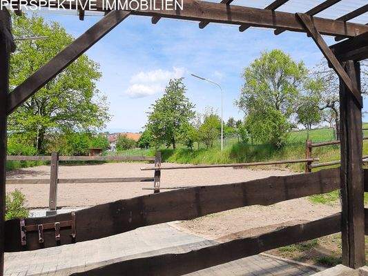 Reitplatz 3 (Blick vom Putzplatz)