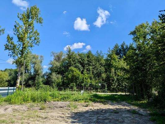 Vorderer Grundstücksbereich