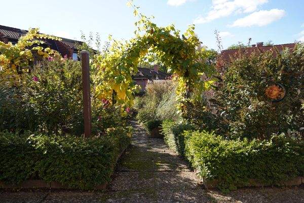 Blick von der Terrasse