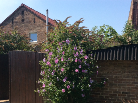 Nauen Renditeobjekte, Mehrfamilienhäuser, Geschäftshäuser, Kapitalanlage