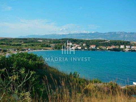 Novalja Bauernhöfe, Landwirtschaft, Novalja Forstwirtschaft