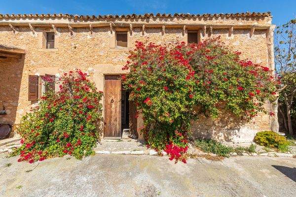 Einzigartige Natursteinfinca mit einem 50 Hektar Grundstück im Nordosten Mallorcas-Kauf