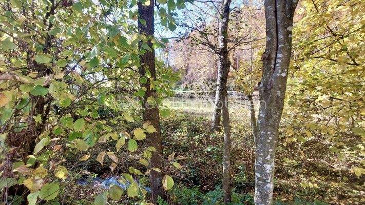 Ausblick Löschweiher