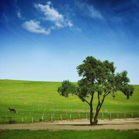 Burgpreppach Häuser, Burgpreppach Haus kaufen