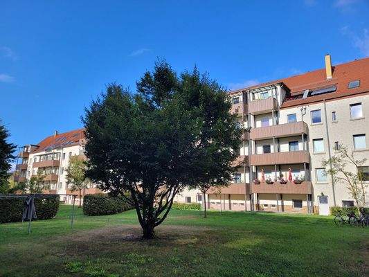 Mietergemeinschaftsgarten