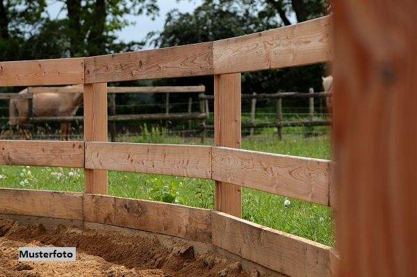 Keine Originalbilder