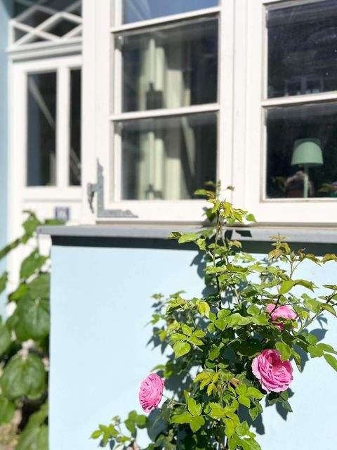 Lüneburg Wohnen auf Zeit, möbliertes Wohnen