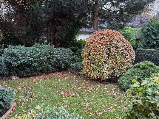 Schöner Garten.jpeg