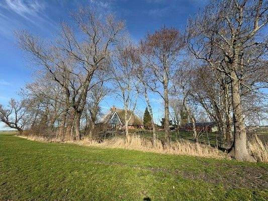 Feldansicht 1 Rehweg