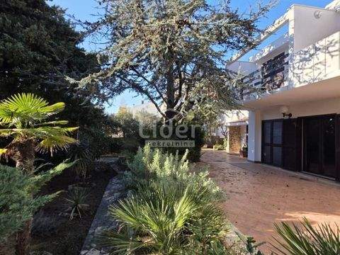 Novalja Häuser, Novalja Haus kaufen