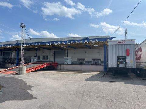 Karlsfeld Halle, Karlsfeld Hallenfläche