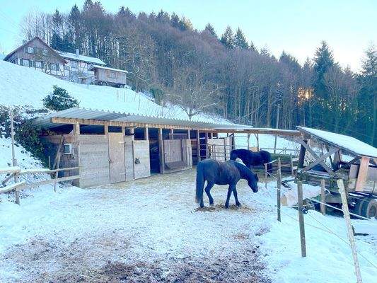 Stallungen unterhalb des Hauses