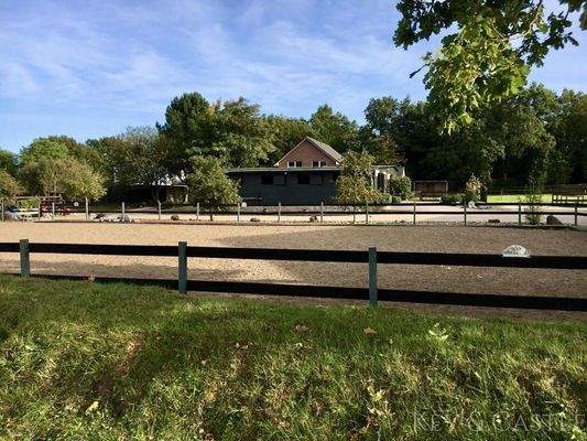 zusätzlicher Schatten durch Bäume