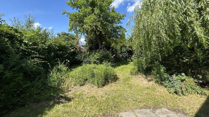 Blick in den Garten