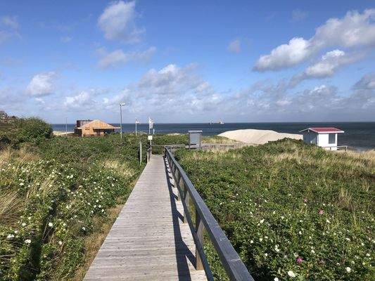 Weg zum Meer im Sommer