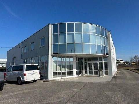 Marchtrenk Halle, Marchtrenk Hallenfläche