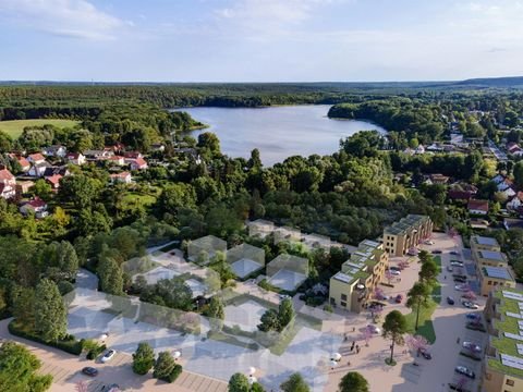 Schwielowsee Häuser, Schwielowsee Haus kaufen