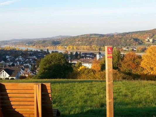 Blick auf Bad Breisig und den Rhein