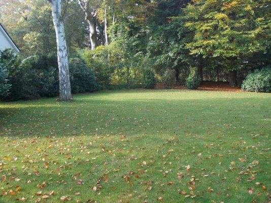 Garten zur Mitbenutzung