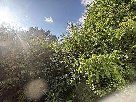 Aussicht nach hinten