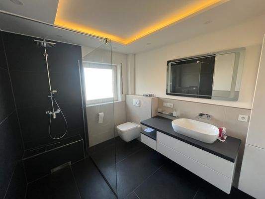 Bad mit Dusche EG Blick 1