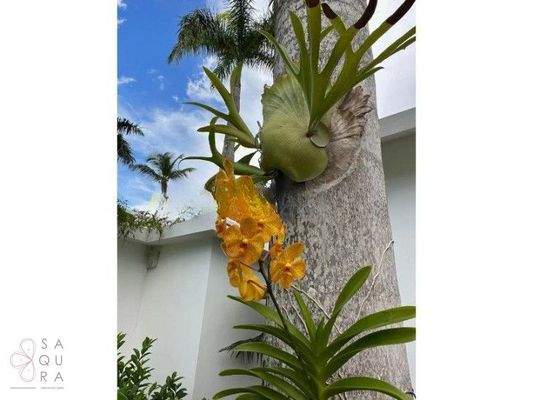 wmimg_amavi-real-estate-las-terrenas-dr-forsale-casa-Dewaschehn50_cleanup