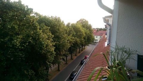 Greifswald Wohnungen, Greifswald Wohnung mieten