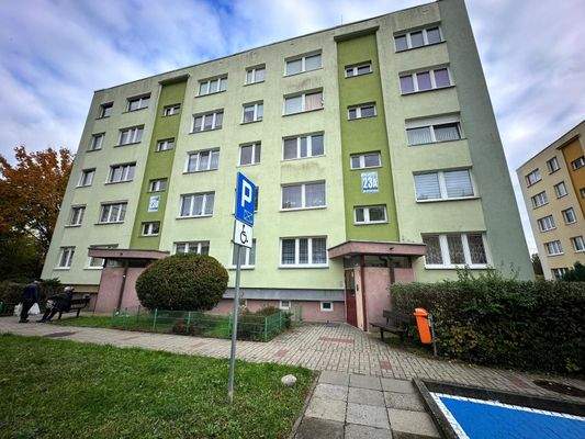 4_WhatsApp Image 2025-10-16 at 20.03.14.jpeg