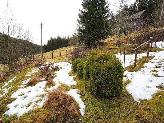 Teile des Grundstücks bzw. des Nutzgartens