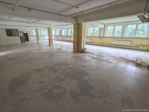 Peiting Halle, Peiting Hallenfläche