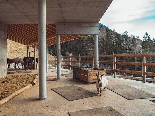 Außenbreich Stall - spazi esterni stalla