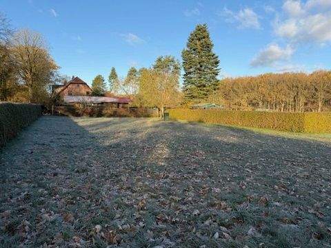 Neu Wandrum Grundstücke, Neu Wandrum Grundstück kaufen