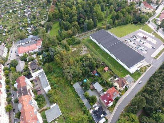 Luftbild vor Rodungsarbeiten