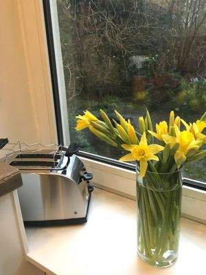 Fenster mit Blumen und Toaster