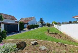 großer sonniger Garten