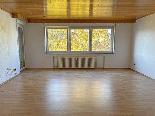 großes und helles Wohn- und Esszimmer