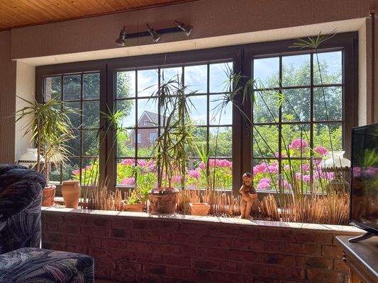 Blick aus dem Fenster ins Grüne