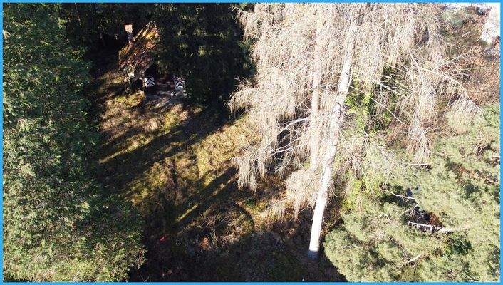 Blick übers Grundstück