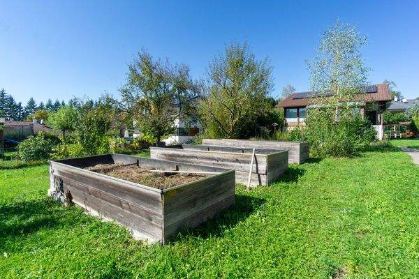 Garten mit Hochbeeten